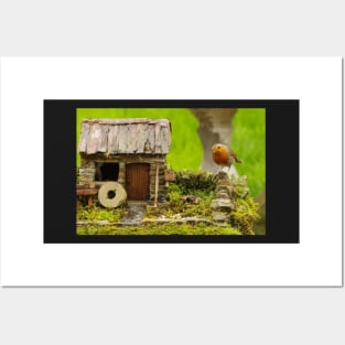 English country garden Robin Posters and Art